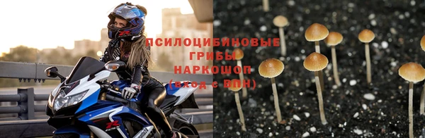 СК Алексеевка