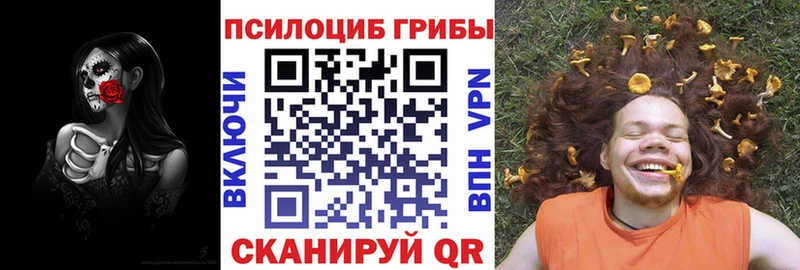 Псилоцибиновые грибы ЛСД  как найти наркотики  OMG как зайти  Магадан 